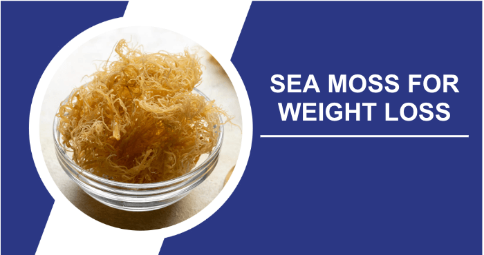 Sea moss for weight loss image
