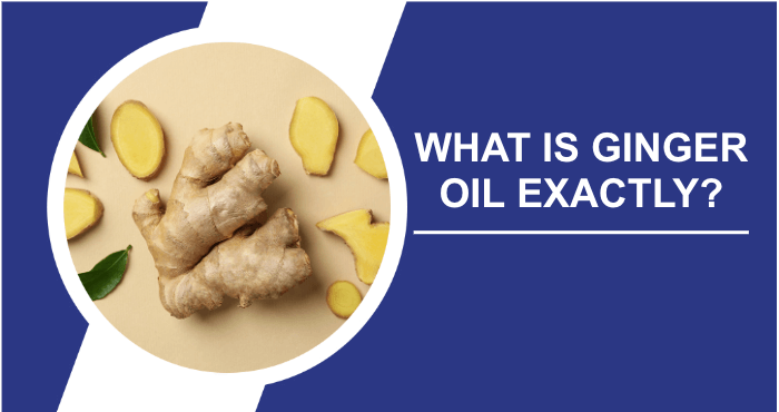 What is ginger oil exactly image